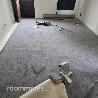 Room for rent in Murphysboro, IL $300, house