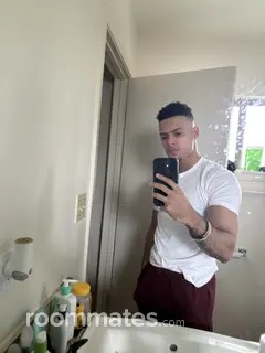 Roommate looking Fort Hood, TX, $1000