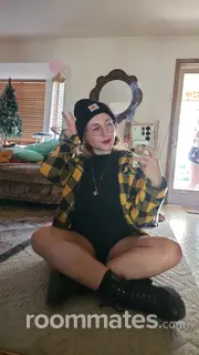 Roommate looking Sterling Heights, MI, $600