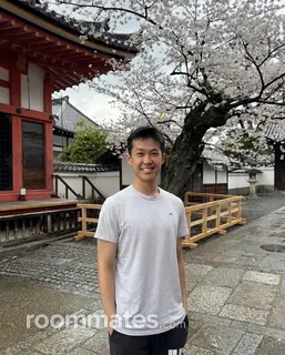 Roommate looking Mountain View, CA, $1800