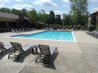 Room for rent in Clinton Township, MI $725, apartment