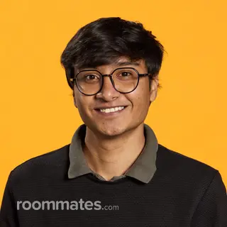 Roommate looking Willowbrook, IL, $1000