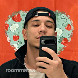 Roommate looking Brooklyn, NY, $800