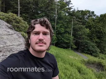 Roommate looking Asheville, NC, $900