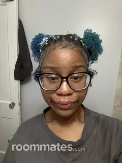 Roommate looking Chicago, IL, $500