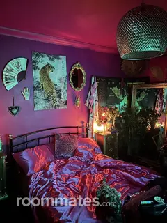 Roommate looking Los Angeles, CA, $900