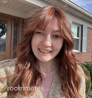 Roommate looking Louisville, KY, $900
