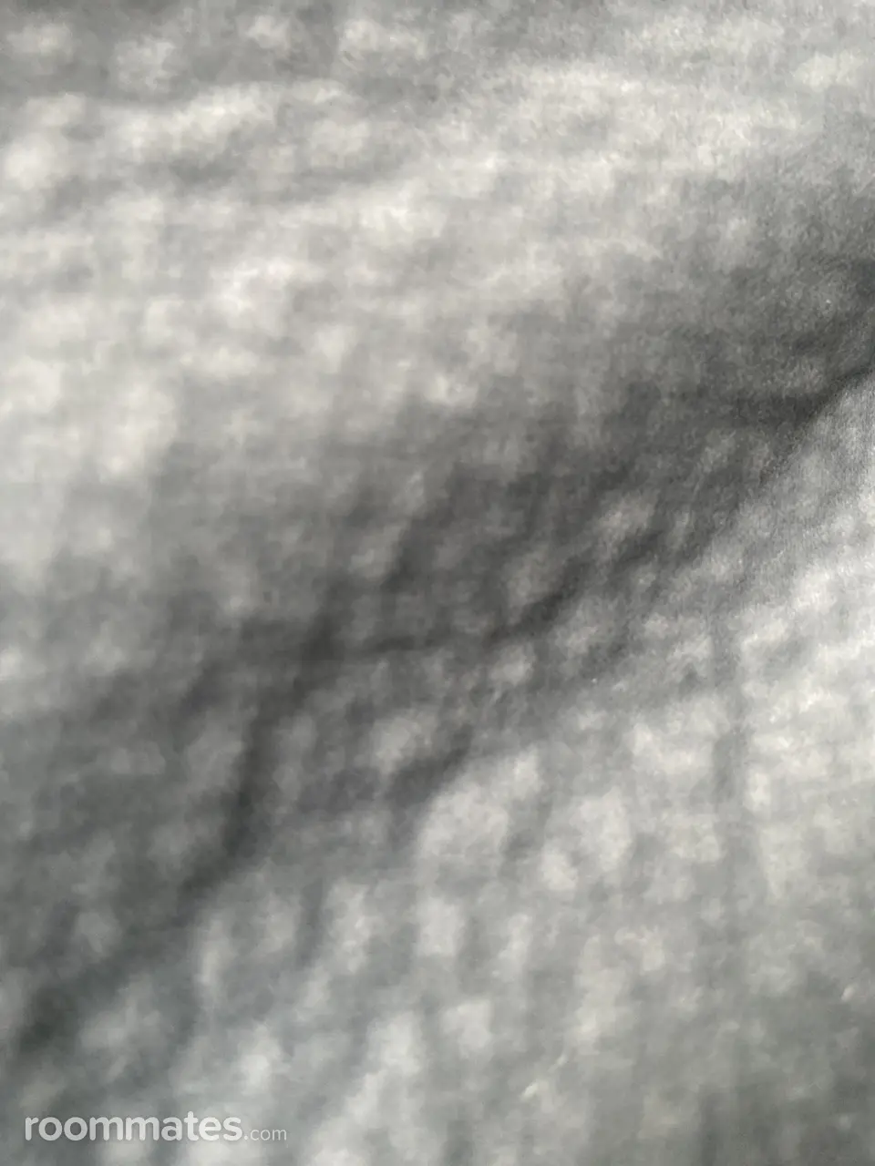 Profile photo 11 of 11