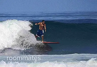 Thumbnail 12