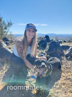 Roommate looking Mesa, AZ, $800