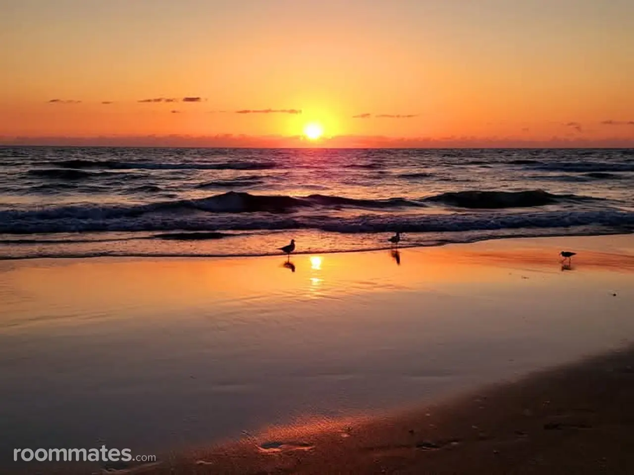 Profile photo 10 of 14