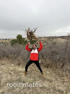 Roommate looking Castle Rock, CO, $800
