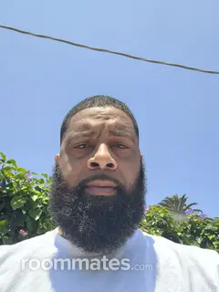 Roommate looking Henderson, NV, $1800