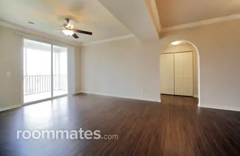 Room for rent in St. Petersburg, FL $1100, apartment