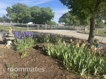 Room for rent in Albuquerque, NM $600, house