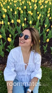 Roommate looking Oakton, VA, $1100
