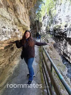 Roommate looking Cheektowaga, NY, $500
