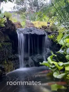Room for rent in Kaneohe, HI $1500, house