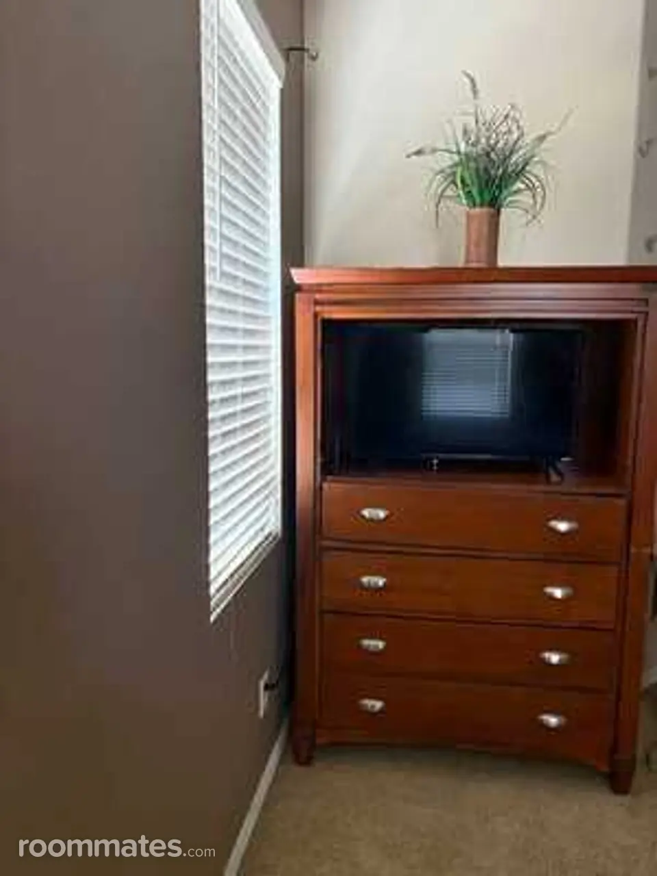Profile photo 4 of 9