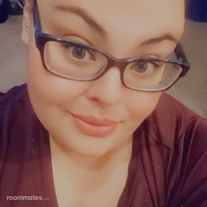 Roommate looking Albany, NY, $900