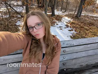 Roommate looking Brooklyn Park, MN, $500