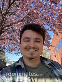 Roommate looking Seattle, WA, $800