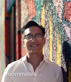 Roommate looking Houston, TX, $1000
