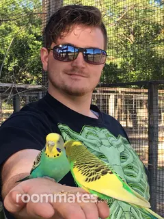 Roommate looking Sandusky, OH, $900