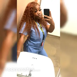 Roommate looking Saint Petersburg, FL, $900