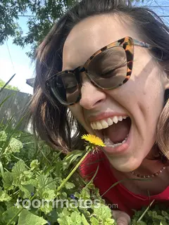 Roommate looking Edina, MN, $900
