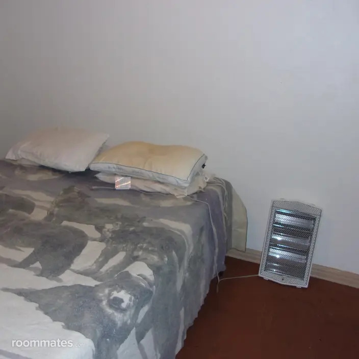Room for rent in St. Petersburg, FL $600, house