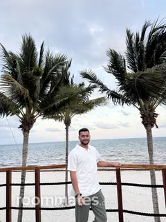 Roommate looking Battle Creek, MI, $800