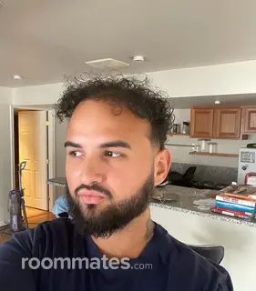 Roommate looking Ashburn, VA, $1000