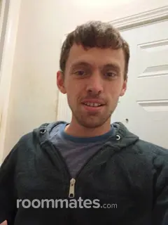 Roommate looking Ferndale, MI, $1000