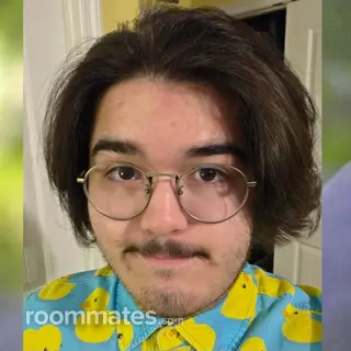 Roommate looking Kingsland, GA, $1000