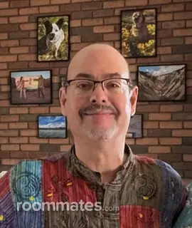 Roommate looking Mesa, AZ, $800