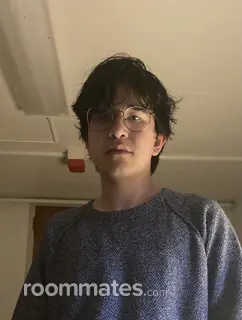 Roommate looking Passaic, NJ, $1200