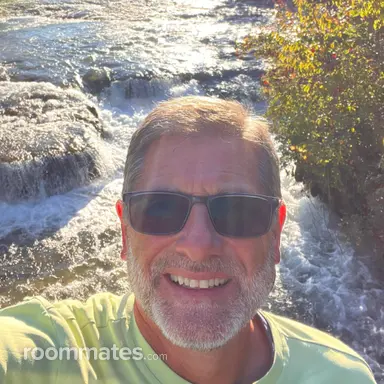 Roommate looking St. Petersburg, FL, $600
