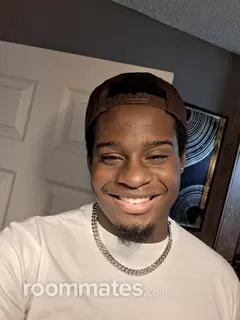 Roommate looking Saint Petersburg, FL, $1200