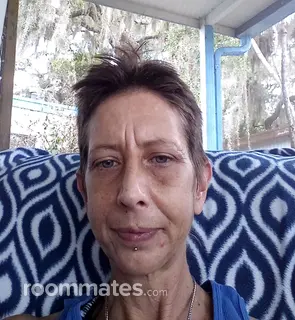 Roommate looking Winter Haven, FL, $600