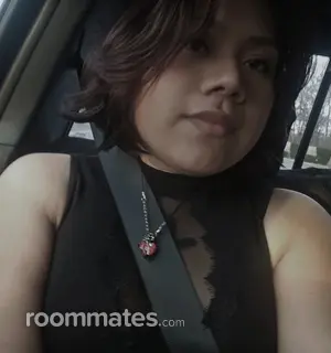 Roommate looking Providence, RI, $600