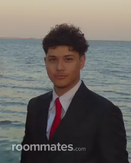 Roommate looking Clearwater, FL, $900