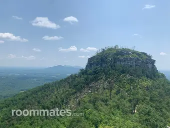 Roommate looking Maggie Valley, NC, $1500