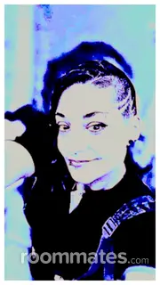 Roommate looking Seminole, FL, $900