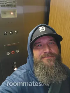 Roommate looking Warren, MI, $500