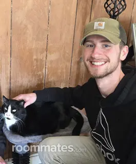 Roommate looking Rochester, NY, $800