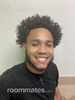 Roommate looking Milwaukee, WI, $700