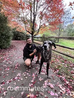 Roommate looking Cary, NC, $1000