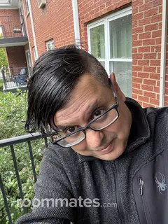 Roommate looking Arlington Heights, IL, $800