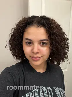 Roommate looking Naperville, IL, $1000